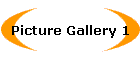 Picture Gallery 1